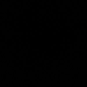 Meet your Posher, Preslee